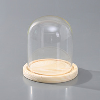 12 x Clear Glass Display Dome With Wooden Base 15cm