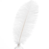 100 x White Ostrich Feathers 30-35cm