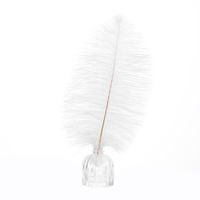 100 x White Ostrich Feathers 35-40cm 