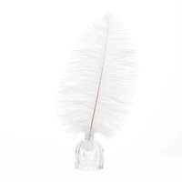 100 x White Ostrich Feathers 35-40cm 