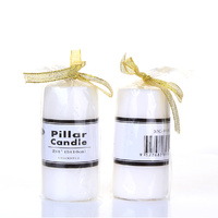 48 x White Unscented Pillar Candles 5 x 10cm / 2x4'' Box of Wholesale Bulk