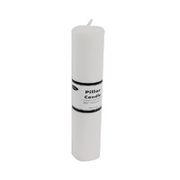24 x White Unscented Pilar Candles 5 x 22.5cm / 2x9'' Box of Wholesale Bulk
