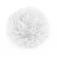 10 X 8" White Tissue Paper Ball Pom Poms 